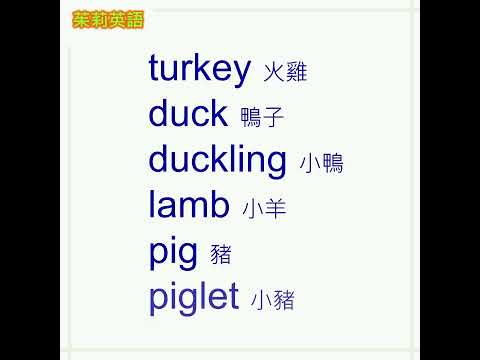 動物英文單字-6。用有趣的單字記憶通，快速記憶6個英文單字。#shorts #英文單字 #動物英文。