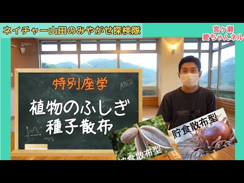 「特別座学」植物のふしぎ　種子散布！【ネイチャー山田のみやがせ探検隊第10回 】