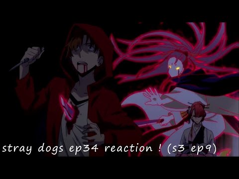 LANKY RUSSIANS~stray dogs ep34 reaction ! (s3 ep9)