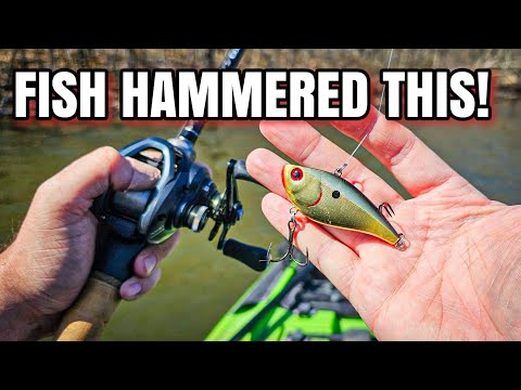 Spring Lipless Crankbait Fishing (FIRST KAYAK TRIP!)