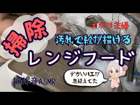 【掃除】そろそろやらなければなるまい。暮らし始めて三年目初レンジフード掃除