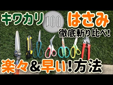 芝生キワカリを100円商品で時間短縮する方法！比較検証した結果