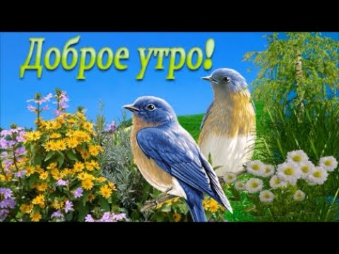 С Добрым Утром ! Будьте счастливы , здоровы , любимы и Богом хранимы...