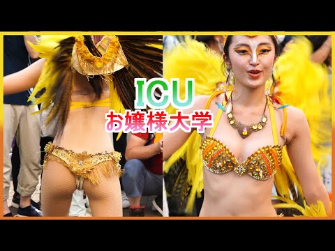 4K 可愛い大学生 サンバ ICUラムズ 黄色い羽 ひまわり娘 三茶ラテンフェスティバル2023 Japanese Samba 三軒茶屋