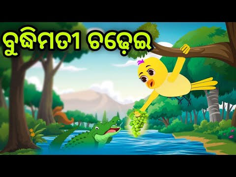 ବୁଦ୍ଧିମତୀ ଚଢ଼େଇ | Budhimati Chadhei | Tiki Chadhei | Odia Gapa | Chadhei Gapa