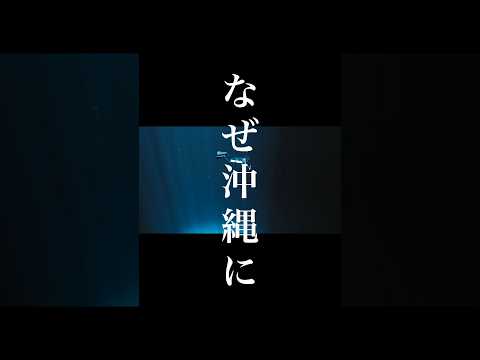 なぜ沖縄にクジラは来るのか？36秒とりっぷ