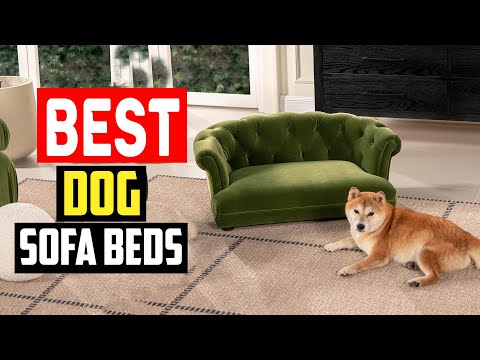 ✅Top 5 Best Dog Sofa Beds in 2024