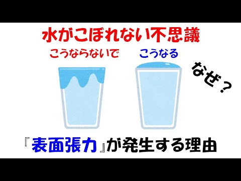 【小学生でも分かる】表面張力とは何か？コップの限界を超えても溢れないのはなんで？【極性】【水素結合】