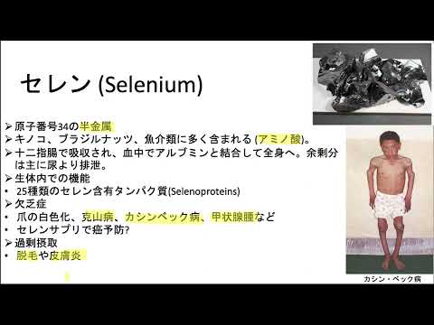 セレン(Selenium)