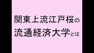 関東上流江戸桜の流通経済大学について