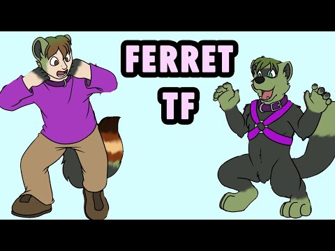 Ferret Transformation / Ferret TFTG