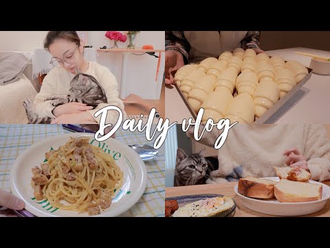 VLOG#73｜一人一猫的冬日独居故事｜再忙也要好好吃饭｜年货节开箱｜熬红豆沙做拉丝牛奶卷｜来份奶油意面