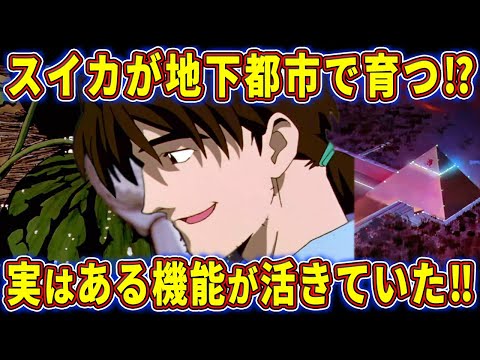 【ゆっくり解説】セントラルドグマとターミナルドグマの違いがややこし過ぎる⁉ジオフロントについて徹底考察‼【エヴァ解説】