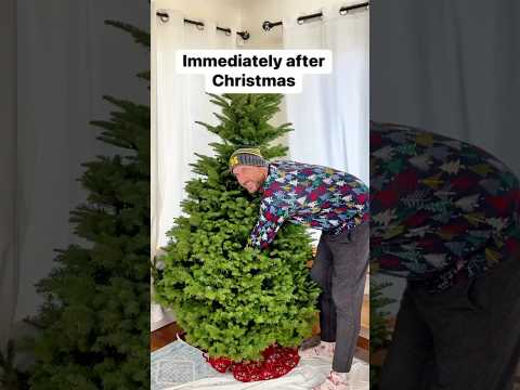 Use a bedsheet to take out Christmas tree #christmastree #dayafterchristmas #treeremoval #bedsheets