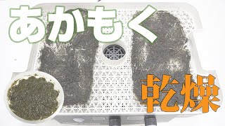 【食品乾燥機　家庭用】あかもくを乾燥（ドラミニ）