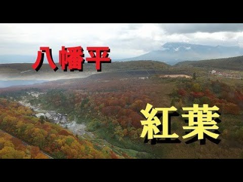 【岩手　秋田県】八幡平の紅葉　2020