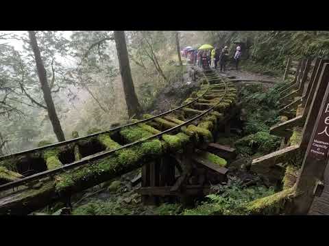 見晴懷古步道|在宜蘭太平山與舊鐵軌伴行的森林步道