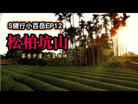 小百岳051｜南投｜松柏坑山｜台灣唯一珍奶三角點｜名間鄉