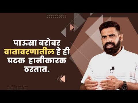 shrihari ghumare |  पाऊसा बरोबर  वातावरणातील  हे  ही  घटक  हानीकारक ठरतात.