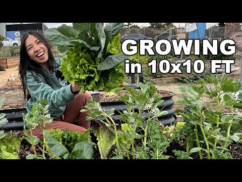 How Much Food Can You Grow In 10x10 FT? (Community Garden Tour)