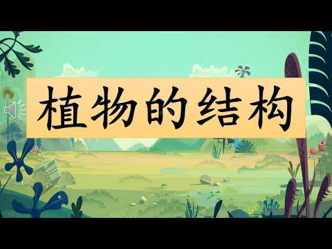 学前教育班 Preschool | 主题教学 Theme：认识植物的结构 Parts of plant | 学习中文 Learning Chinese