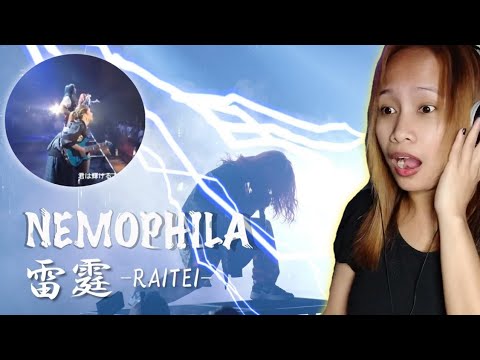 NEMOPHILA / 雷霆 -RAITEI- [Official Live Video] Reaction