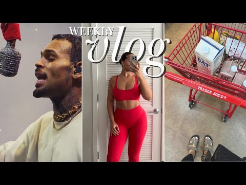 life reset fail, getting the flu, chris brown concert, summer whitefox haul, etc. | VLOG