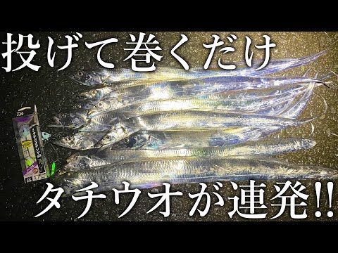 釣り公園でタチウオが連発！テンヤを投げて巻くだけで想定外の爆釣になりました