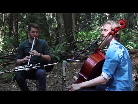 Bug Spit tune/outtake Low Whistle Cello Chris McMullan