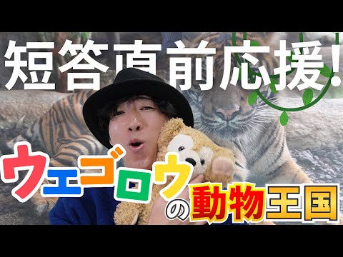 【CPAカレッジ】_265_24年12月短答直前応援～ウエゴロウの動物王国～