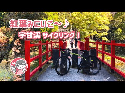 【岡山ロードバイク女子】紅葉狩りで秋の訪れを感じよう♪宇甘渓まで自転車でまったりと走ってみた