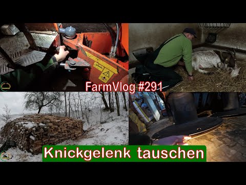 Farmvlog #291: Knickgelenk am Schäffer tauschen | Nachwuchs bei den Ziegen