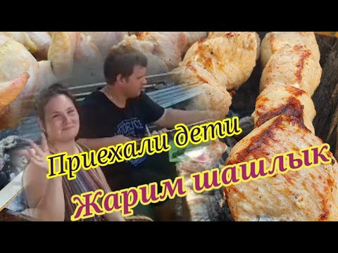 Влог. Приехали дети. Жарим шашлычок