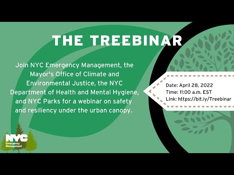 Treebinar 2022: Safety and Resiliency Under the Urban Canopy