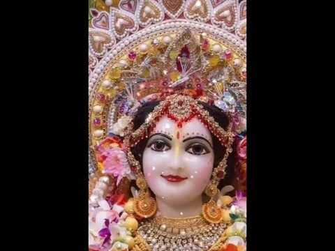 राधे राधे जय श्री कृष्णा  🙏🏻🙏🏻🙏🏻🙏🏻