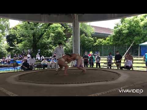 【わんぱく相撲】神奈川県民ジュニア大会😃中学生無差別、軽量級💪2022.6.19(日)【葵相撲道場】