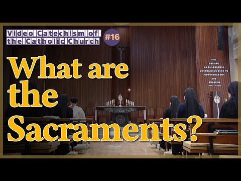 What are the Sacraments?｜Video Catechism of the Catholic Church Part.16