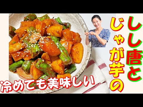 【韓国料理】ゴロゴロじゃが芋かおる～しし唐のコチュジャン煮込み｜簡単に作れて飽きない韓国の常備菜｜お弁当おかずで人気が高い甘辛いじゃが芋煮込み