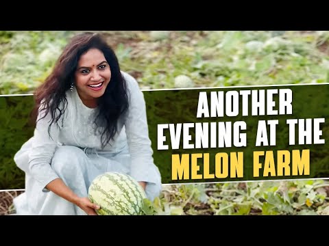 Another Evening At The Melon Farm | Upadrasta Sunitha | Singer Sunitha Latest Video | #ytshorts