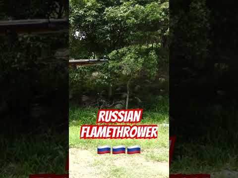 Mosin Nagant 7.62x54R #ozziereviews #russia #russiaukrainewar #gun #shooting #slowmotion #slowmo