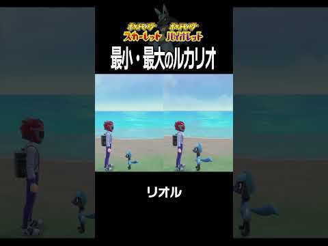 【大きさ比較】ルカリオ編【ポケモンSV】#Shorts