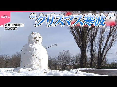 【平年の何倍もの雪】“クリスマス寒波”で大雪…車も動かず「見たことない」