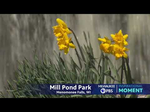 Milwaukee PBS Presents | Inspirational Moments | Mill Pond Park