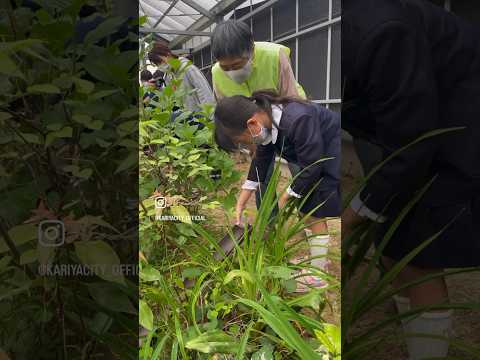 ホタルの幼虫放流会