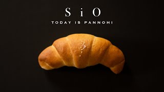 【夫婦でパン作り】シンプル・イズ・ベスト「塩パン」今日はパンの日 Lesson 39 “Sio pan”