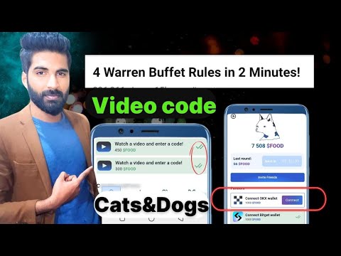 cats&dogs video code | 4 warren Buffett in 2 minutes | dogsandcats wallet connect