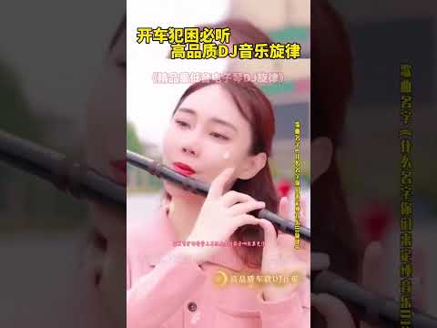 #双排键电子琴纯音乐#纯音乐dj, 中國風純音樂的獨特韻味