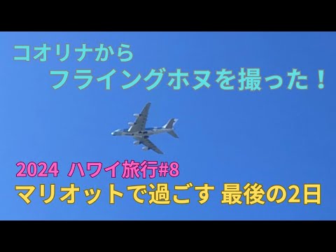 コオリナからフライングホヌを撮った！　マリオットで過ごす最後の2日