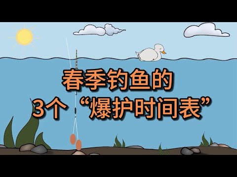 春季钓鱼，掌握3个“爆护时间表”，连竿爆护也不难!