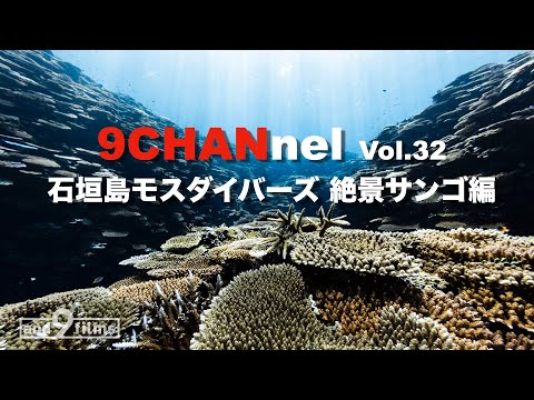 9CHANnel #032 石垣島モスダイバーズ 絶景サンゴ編 / Ishigakijima-island, Wonderful coral view. 【スキューバダイビング番組】